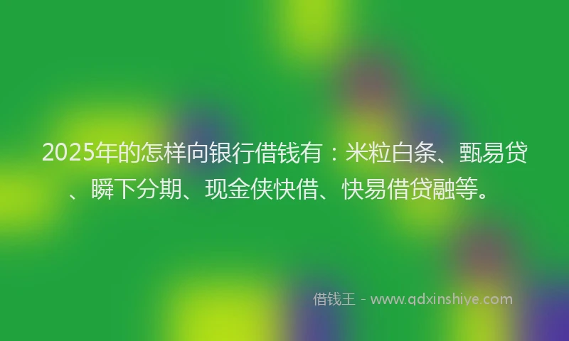 2025年的怎样向银行借钱有：米粒白条、甄易贷、瞬下分期、现金侠快借、快易借贷融等。