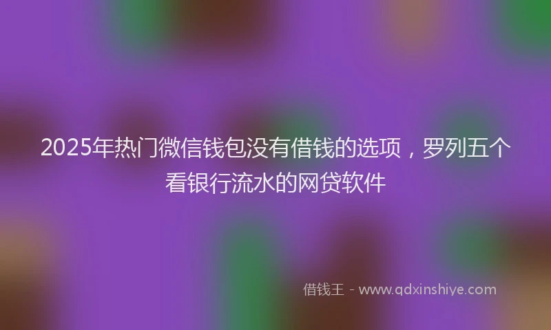 2025年热门微信钱包没有借钱的选项，罗列五个看银行流水的网贷软件