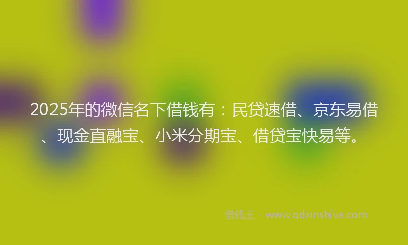 2025年的微信名下借钱有：民贷速借、京东易借、现金直融宝、小米分期宝、借贷宝快易等。