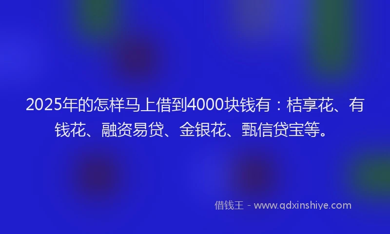 2025年的怎样马上借到4000块钱有：桔享花、有钱花、融资易贷、金银花、甄信贷宝等。