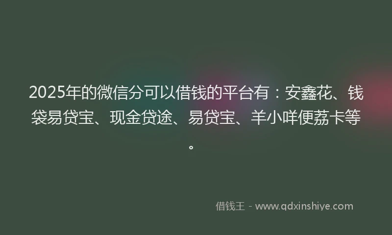 2025年的微信分可以借钱的平台有：安鑫花、钱袋易贷宝、现金贷途、易贷宝、羊小咩便荔卡等。