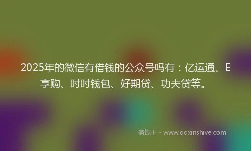 2025年的微信有借钱的公众号吗有：亿运通、E享购、时时钱包、好期贷、功夫贷等。