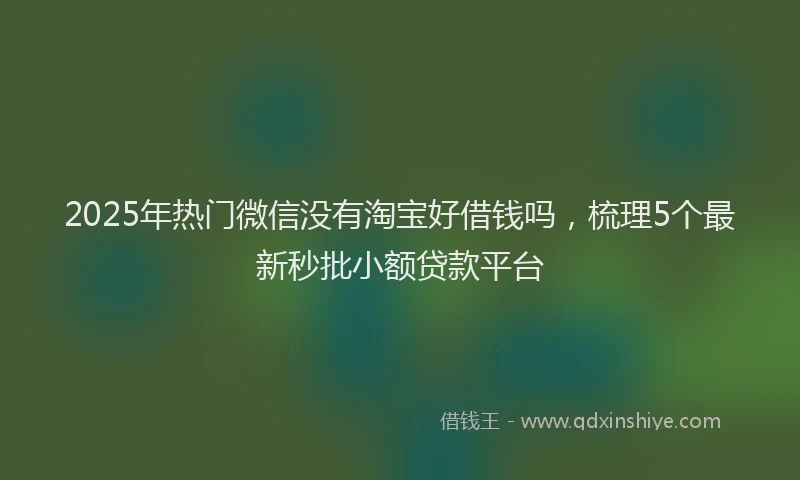 2025年热门微信没有淘宝好借钱吗，梳理5个最新秒批小额贷款平台