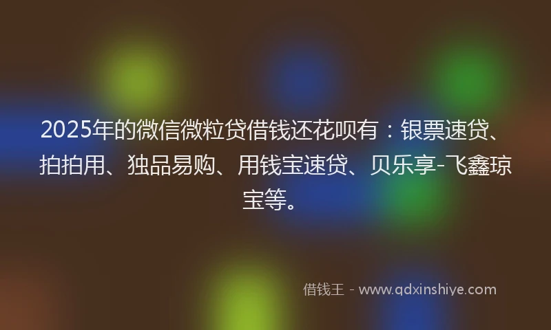 2025年的微信微粒贷借钱还花呗有：银票速贷、拍拍用、独品易购、用钱宝速贷、贝乐享-飞鑫琼宝等。