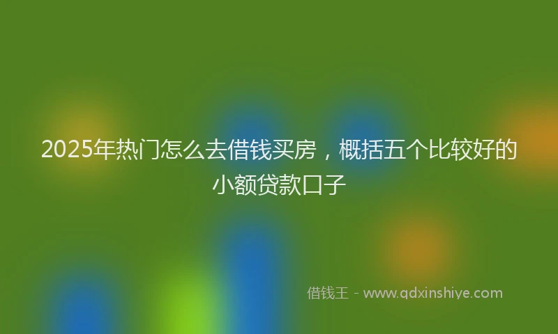 2025年热门怎么去借钱买房，概括五个比较好的小额贷款口子
