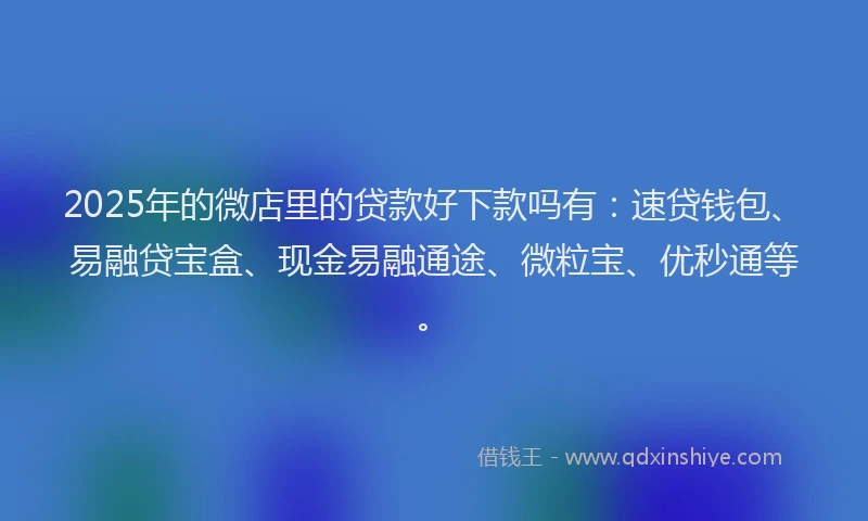2025年的微店里的贷款好下款吗有：速贷钱包、易融贷宝盒、现金易融通途、微粒宝、优秒通等。