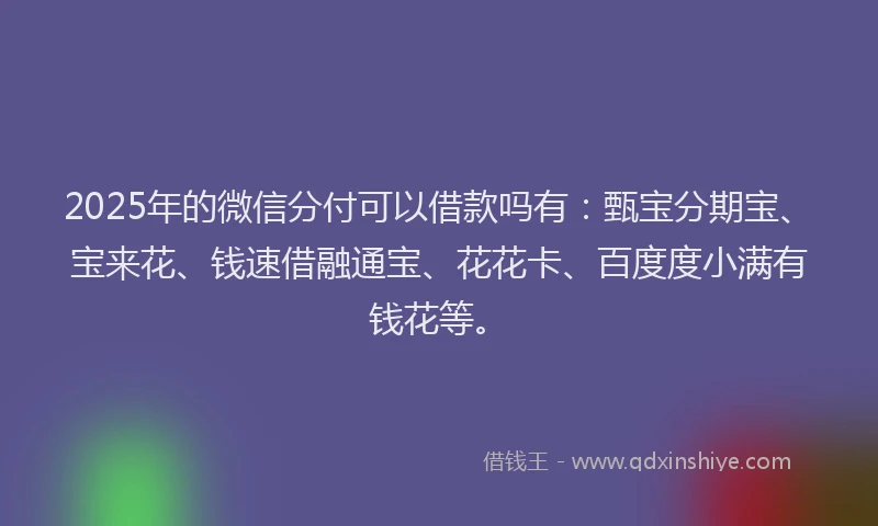 2025年的微信分付可以借款吗有：甄宝分期宝、宝来花、钱速借融通宝、花花卡、百度度小满有钱花等。