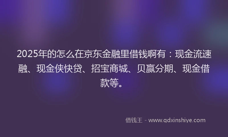 2025年的怎么在京东金融里借钱啊有：现金流速融、现金侠快贷、招宝商城、贝赢分期、现金借款等。