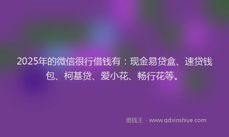 2025年的微信很行借钱有：现金易贷盒、速贷钱包、柯基贷、爱小花、畅行花等。