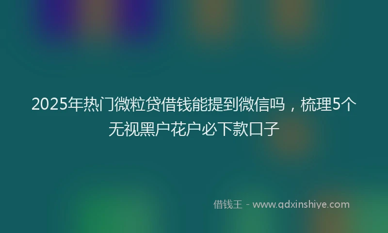 2025年热门微粒贷借钱能提到微信吗，梳理5个无视黑户花户必下款口子