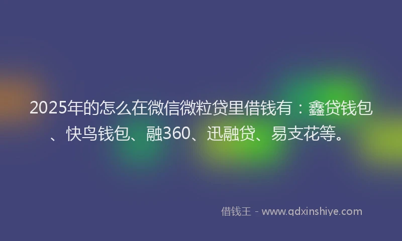 2025年的怎么在微信微粒贷里借钱有：鑫贷钱包、快鸟钱包、融360、迅融贷、易支花等。