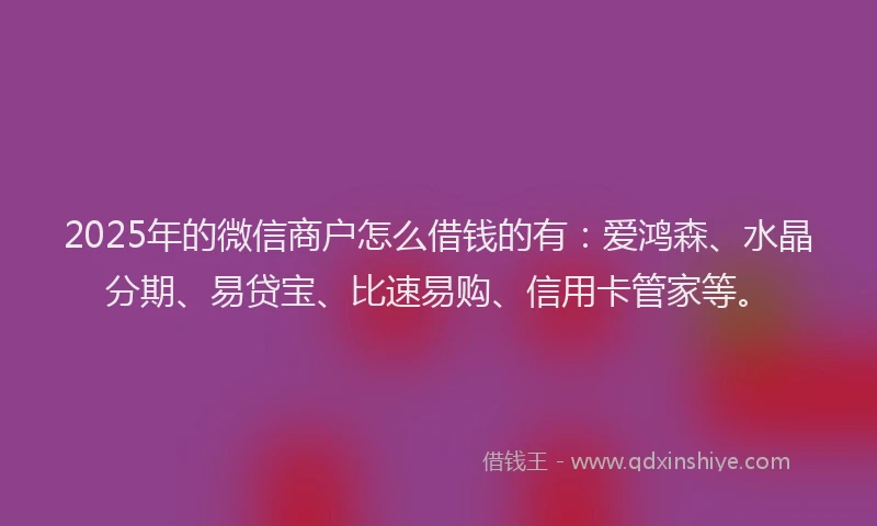 2025年的微信商户怎么借钱的有：爱鸿森、水晶分期、易贷宝、比速易购、信用卡管家等。