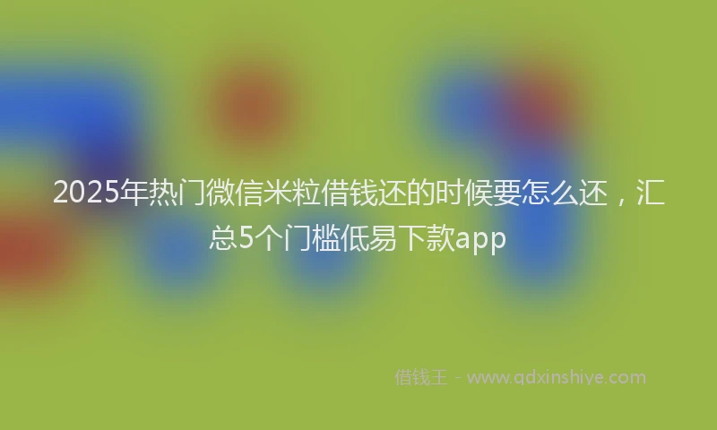 2025年热门微信米粒借钱还的时候要怎么还，汇总5个门槛低易下款app