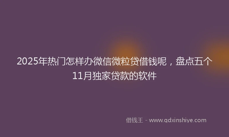 2025年热门怎样办微信微粒贷借钱呢，盘点五个11月独家贷款的软件