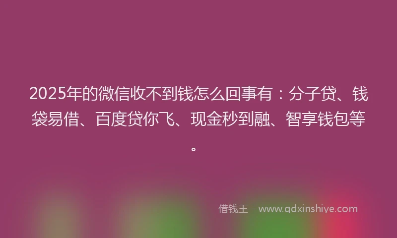 2025年的微信收不到钱怎么回事有：分子贷、钱袋易借、百度贷你飞、现金秒到融、智享钱包等。