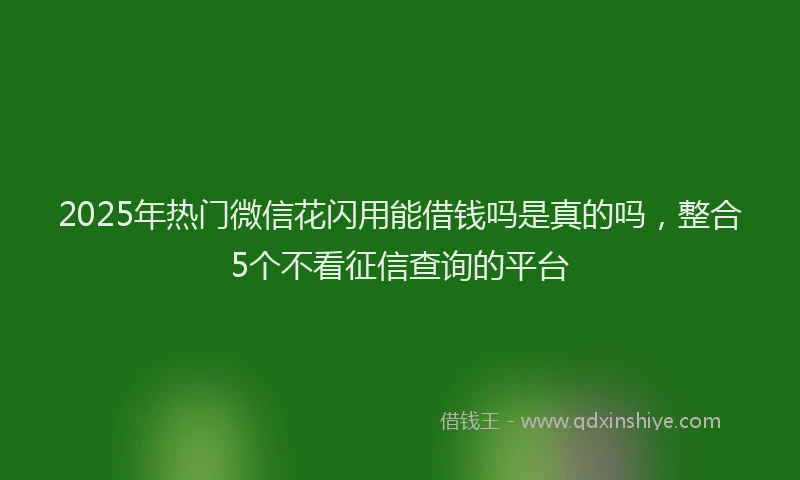 2025年热门微信花闪用能借钱吗是真的吗，整合5个不看征信查询的平台