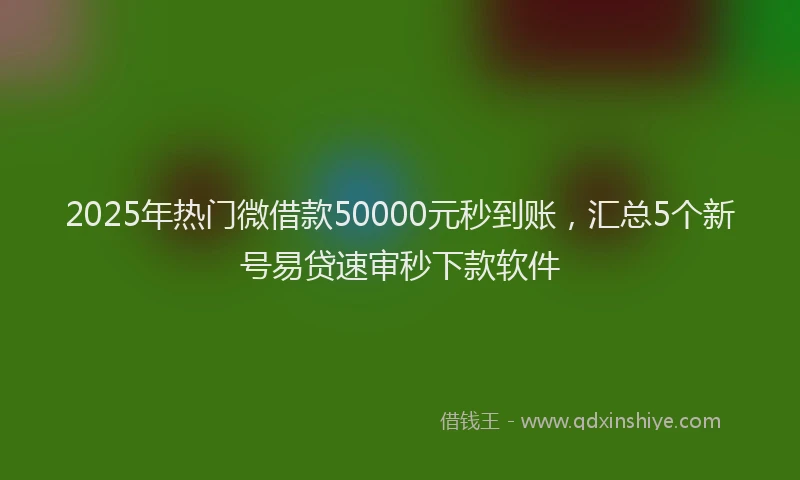 2025年热门微借款50000元秒到账，汇总5个新号易贷速审秒下款软件