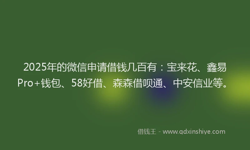2025年的微信申请借钱几百有：宝来花、鑫易Pro+钱包、58好借、森森借呗通、中安信业等。