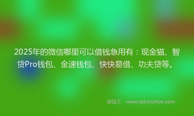 2025年的微信哪里可以借钱急用有：现金猫、智贷Pro钱包、金速钱包、快快易借、功夫贷等。