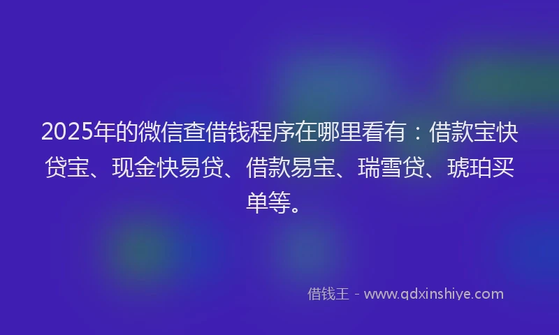 2025年的微信查借钱程序在哪里看有：借款宝快贷宝、现金快易贷、借款易宝、瑞雪贷、琥珀买单等。