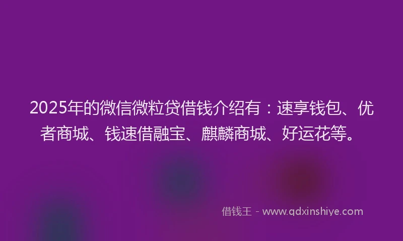 2025年的微信微粒贷借钱介绍有：速享钱包、优者商城、钱速借融宝、麒麟商城、好运花等。