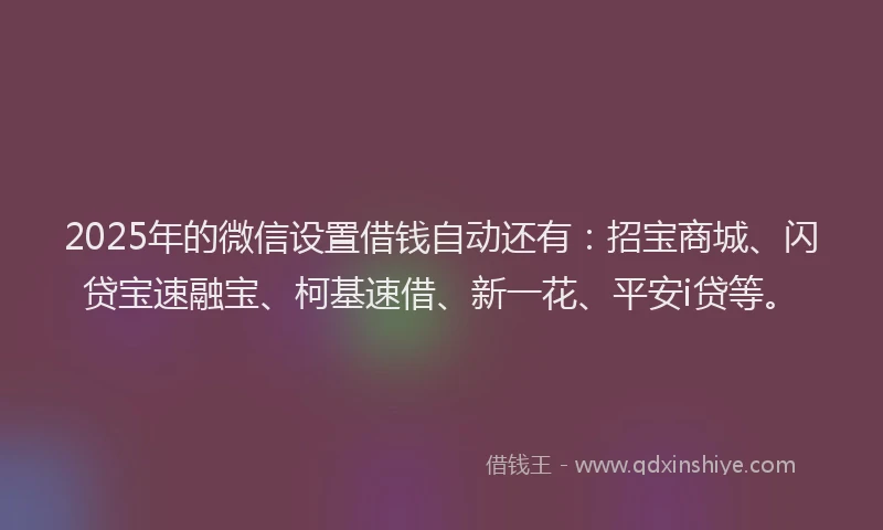 2025年的微信设置借钱自动还有:招宝商城、闪贷宝速融宝、柯基速借、新一花、平安i贷等。