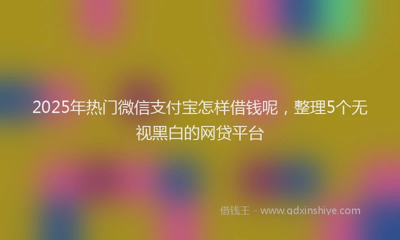 2025年热门微信支付宝怎样借钱呢，整理5个无视黑白的网贷平台