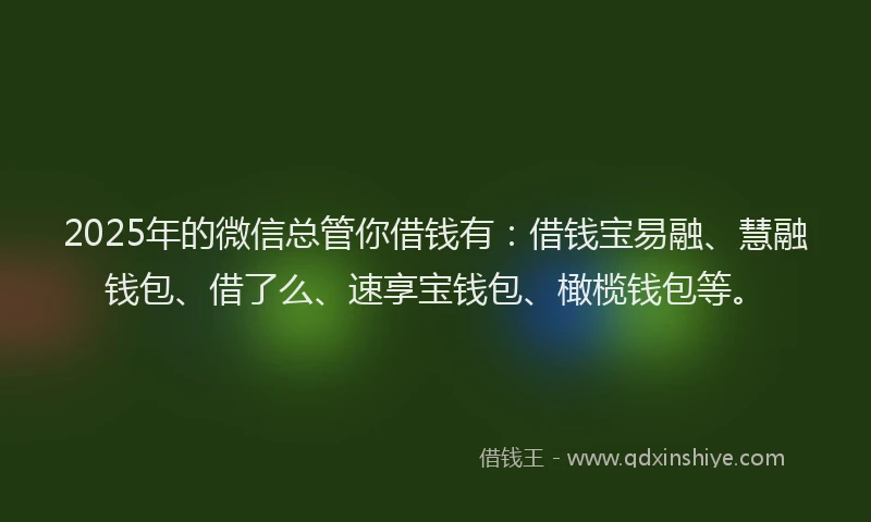 2025年的微信总管你借钱有：借钱宝易融、慧融钱包、借了么、速享宝钱包、橄榄钱包等。