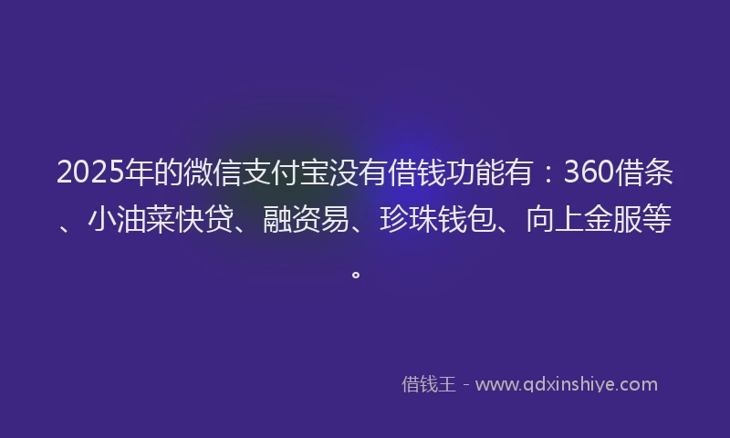 2025年的微信支付宝没有借钱功能有：360借条、小油菜快贷、融资易、珍珠钱包、向上金服等。