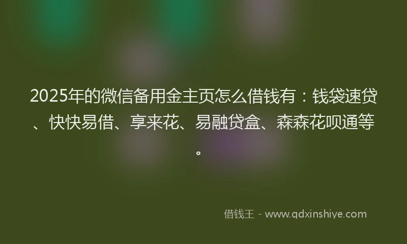 2025年的微信备用金主页怎么借钱有：钱袋速贷、快快易借、享来花、易融贷盒、森森花呗通等。