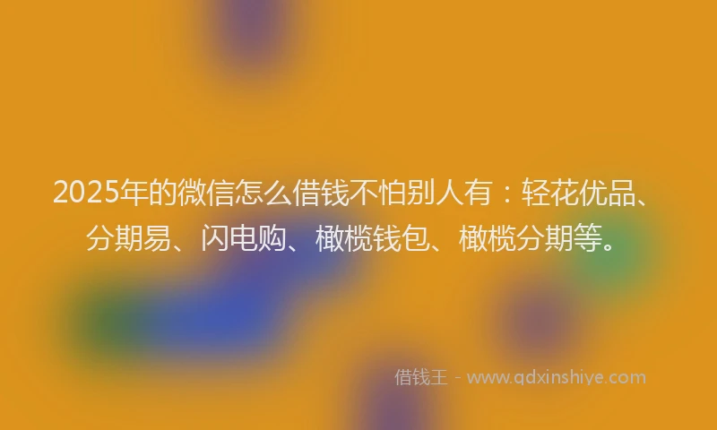 2025年的微信怎么借钱不怕别人有：轻花优品、分期易、闪电购、橄榄钱包、橄榄分期等。