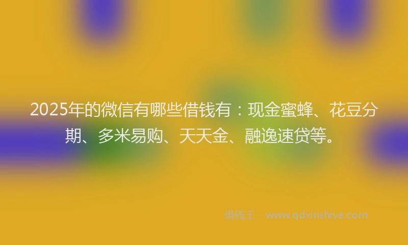 2025年的微信有哪些借钱有：现金蜜蜂、花豆分期、多米易购、天天金、融逸速贷等。