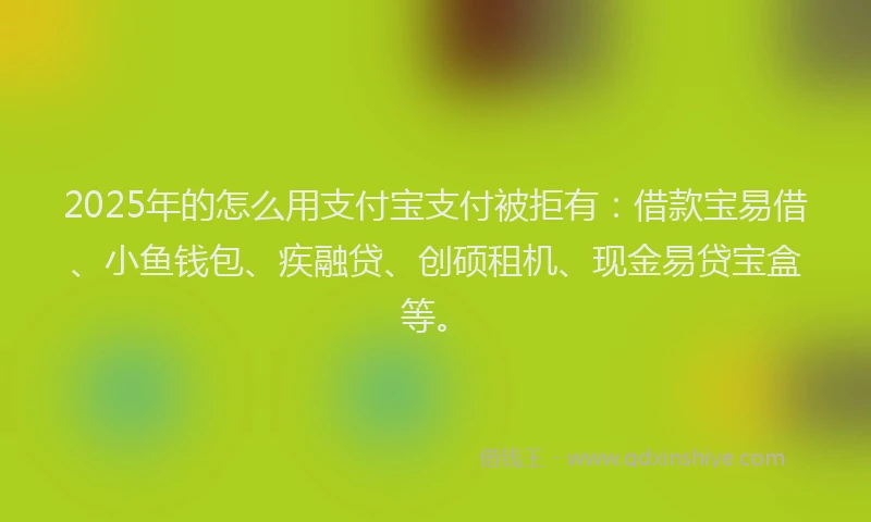 2025年的怎么用支付宝支付被拒有:借款宝易借、小鱼钱包、疾融贷、创硕租机、现金易贷宝盒等。