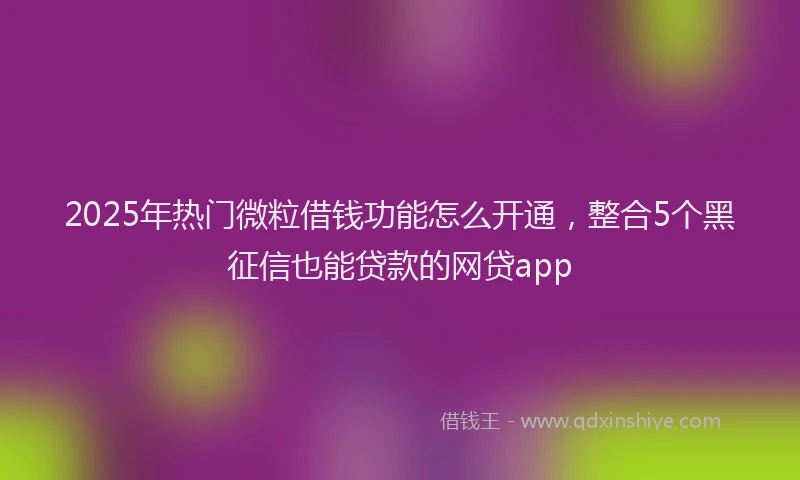 2025年热门微粒借钱功能怎么开通，整合5个黑征信也能贷款的网贷app