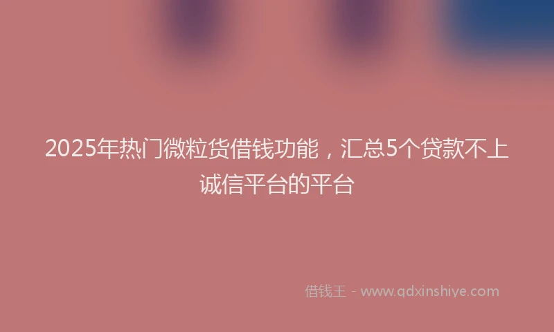 2025年热门微粒货借钱功能，汇总5个贷款不上诚信平台的平台