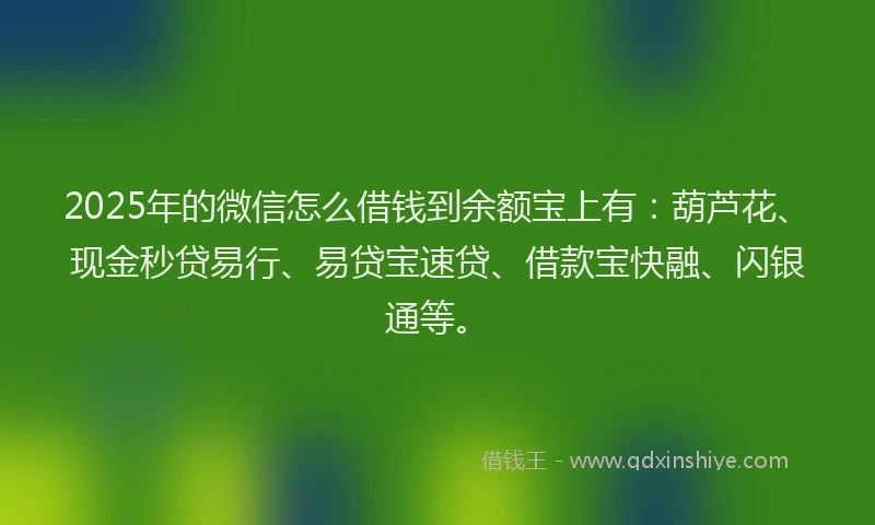 2025年的微信怎么借钱到余额宝上有：葫芦花、现金秒贷易行、易贷宝速贷、借款宝快融、闪银通等。