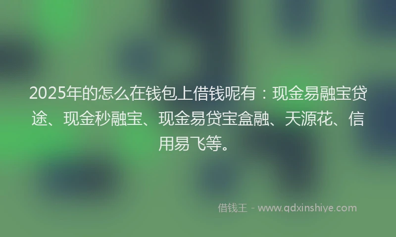 2025年的怎么在钱包上借钱呢有:现金易融宝贷途、现金秒融宝、现金易贷宝盒融、天源花、信用易飞等。