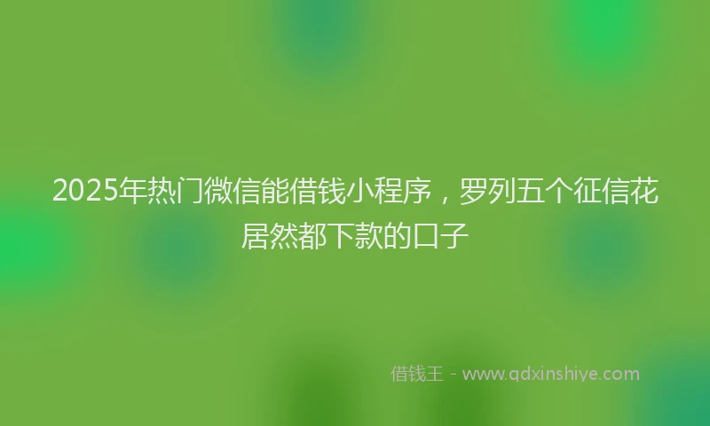 2025年热门微信能借钱小程序，罗列五个征信花居然都下款的口子