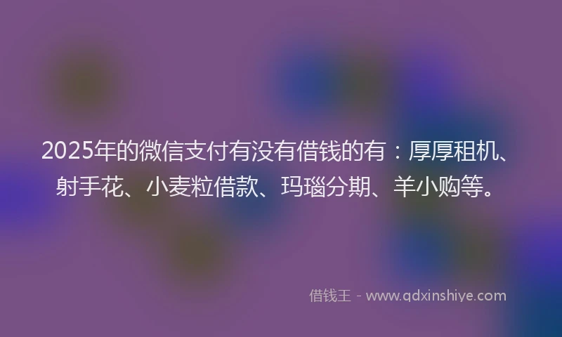 2025年的微信支付有没有借钱的有：厚厚租机、射手花、小麦粒借款、玛瑙分期、羊小购等。