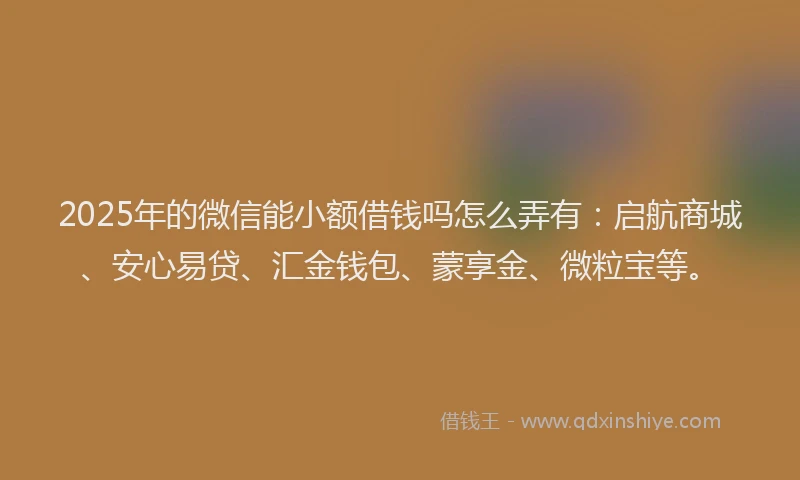 2025年的微信能小额借钱吗怎么弄有：启航商城、安心易贷、汇金钱包、蒙享金、微粒宝等。
