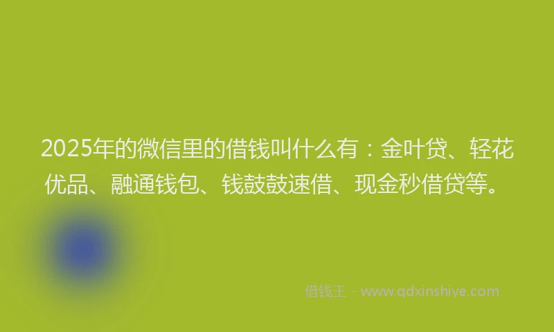 2025年的微信里的借钱叫什么有：金叶贷、轻花优品、融通钱包、钱鼓鼓速借、现金秒借贷等。