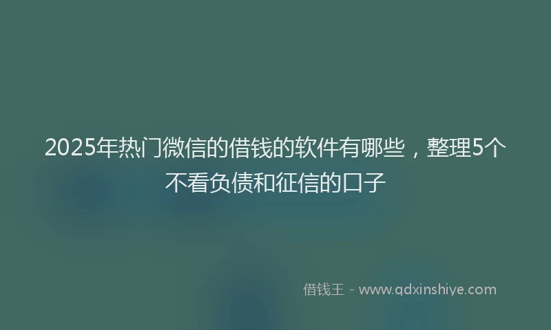 2025年热门微信的借钱的软件有哪些，整理5个不看负债和征信的口子