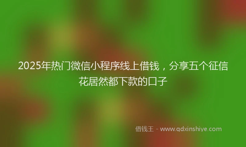2025年热门微信小程序线上借钱，分享五个征信花居然都下款的口子