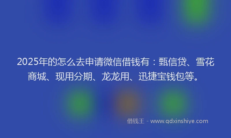 2025年的怎么去申请微信借钱有：甄信贷、雪花商城、现用分期、龙龙用、迅捷宝钱包等。