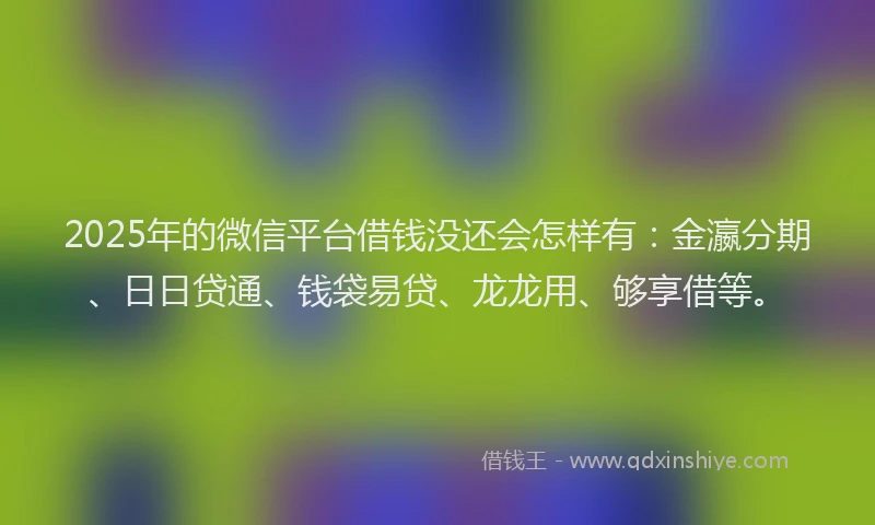 2025年的微信平台借钱没还会怎样有：金瀛分期、日日贷通、钱袋易贷、龙龙用、够享借等。