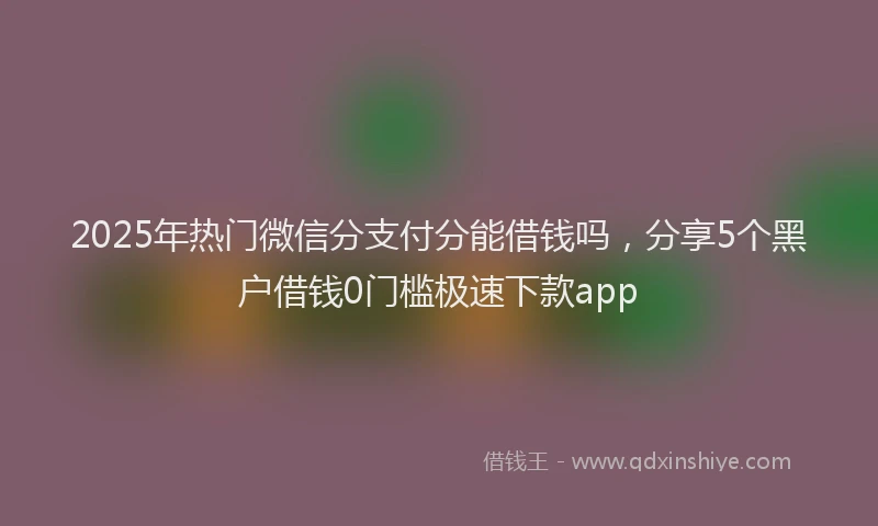 2025年热门微信分支付分能借钱吗，分享5个黑户借钱0门槛极速下款app