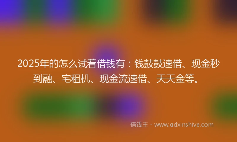 2025年的怎么试着借钱有：钱鼓鼓速借、现金秒到融、宅租机、现金流速借、天天金等。