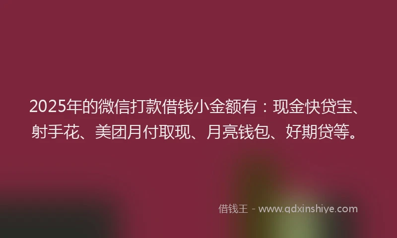 2025年的微信打款借钱小金额有：现金快贷宝、射手花、美团月付取现、月亮钱包、好期贷等。
