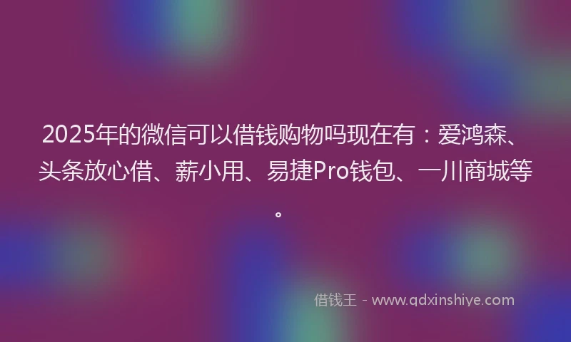 2025年的微信可以借钱购物吗现在有：爱鸿森、头条放心借、薪小用、易捷Pro钱包、一川商城等。