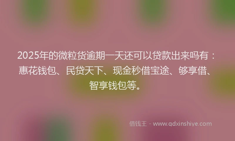 2025年的微粒货逾期一天还可以贷款出来吗有：惠花钱包、民贷天下、现金秒借宝途、够享借、智享钱包等。